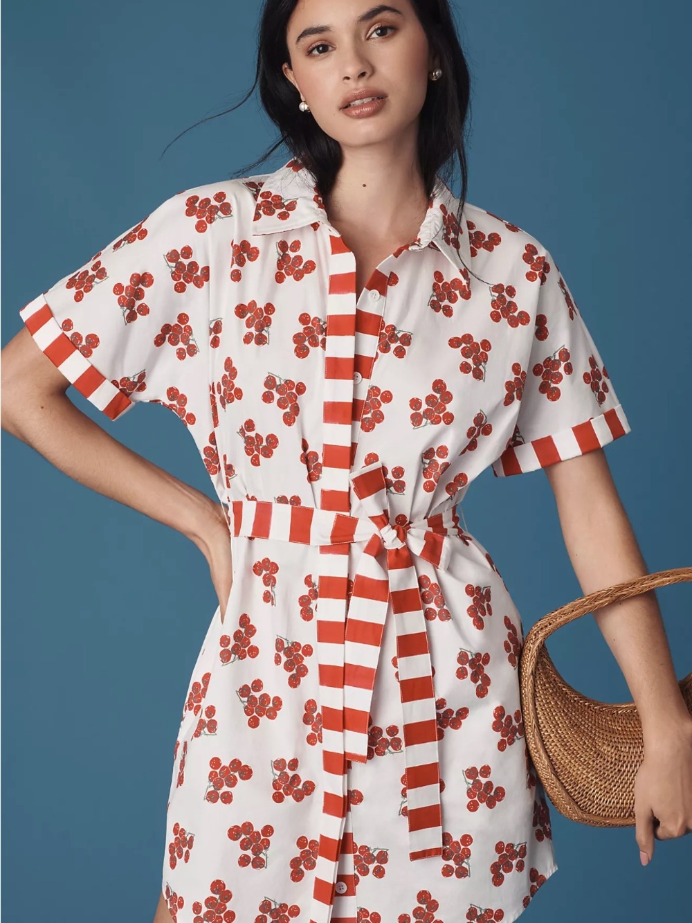 NWT Anthropologie Rachel Antonoff Jenny Mini Shirt Dress NEW Size Small Petite